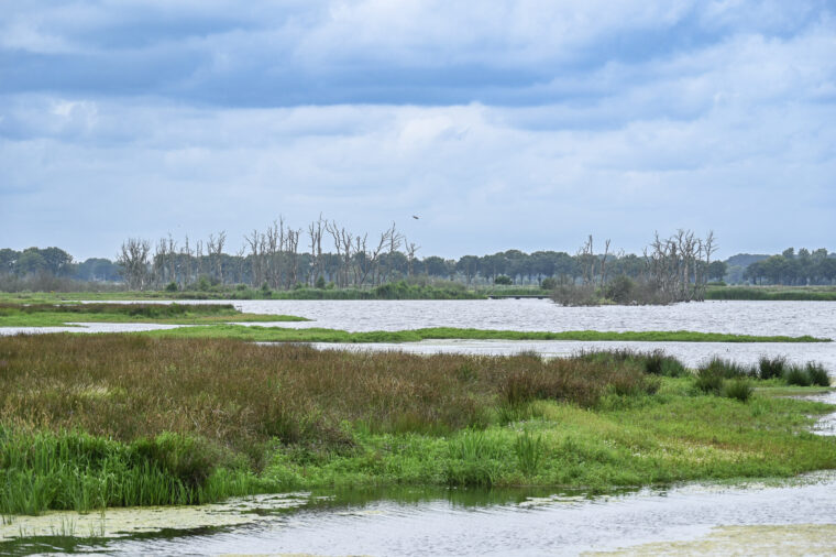 Tussenwater, Zuidlaren