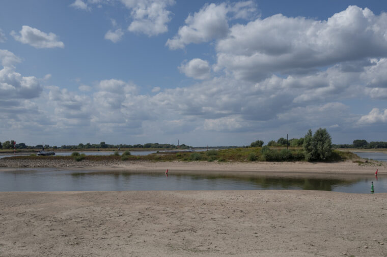 Droogte in de zomer